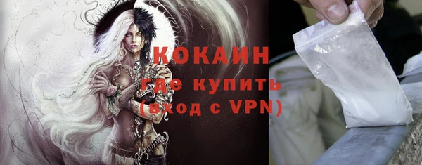 дживик Няндома