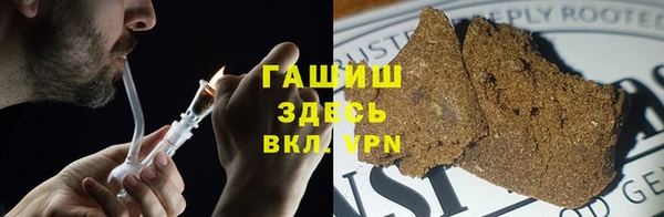 дживик Няндома