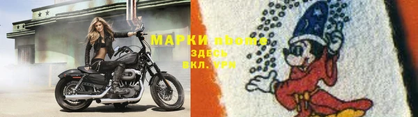 прущие крисы Новокубанск