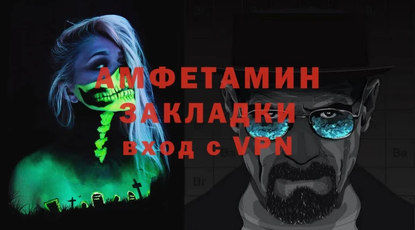 дживик Няндома
