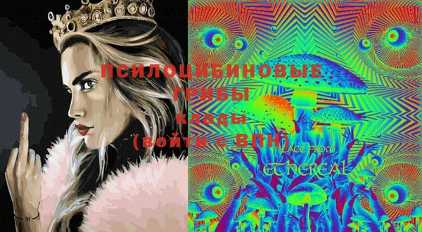 дживик Няндома