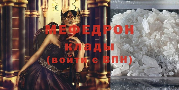 дживик Няндома
