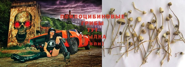 экстази Нязепетровск