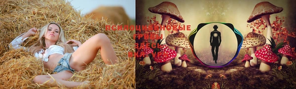 каннабис Нягань