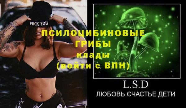 дживик Няндома