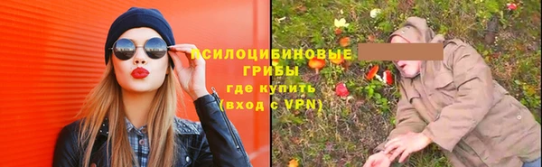 дживик Няндома