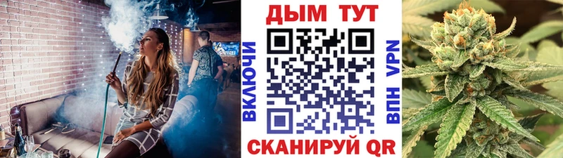 Бошки марихуана гибрид  блэк спрут ССЫЛКА  Кировград  хочу  